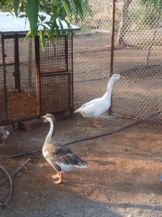 Bimalfarm At Koroli Hills Villa Igatpuri Ngoại thất bức ảnh